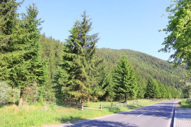View of highway in the Carpathians in the Hutsul region, Ukraine