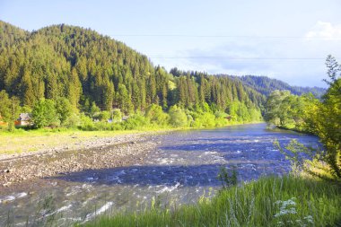 Landscape with River Black Cheremosh in village of Krivorivnya, Ukraine