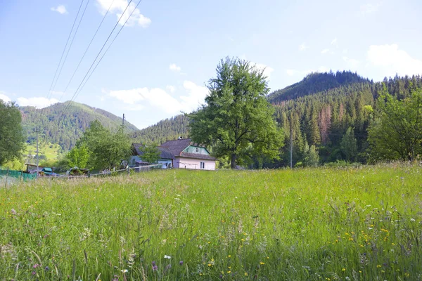 Wooden House Sunny Day Village Krivorivnya Ukraine — Zdjęcie stockowe