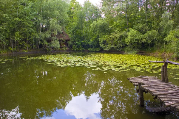 Landscape Lake Wooden Bridge Lilies Summer Day — стоковое фото