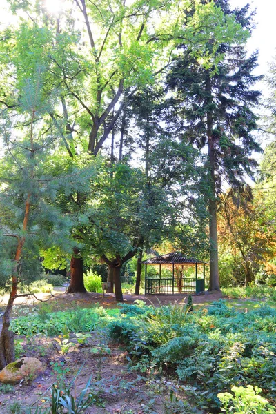 Syretsky Arboretum Kiev Ucrania — Foto de Stock