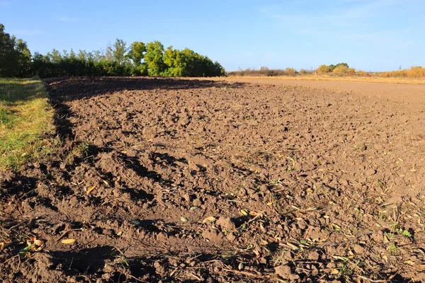 Campo Agrícola Antes Sembrar Día Soleado — Foto de Stock