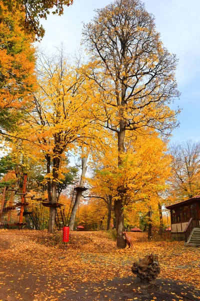 Autumn Landscape Dilijan National Park Armenia — Stock Photo, Image