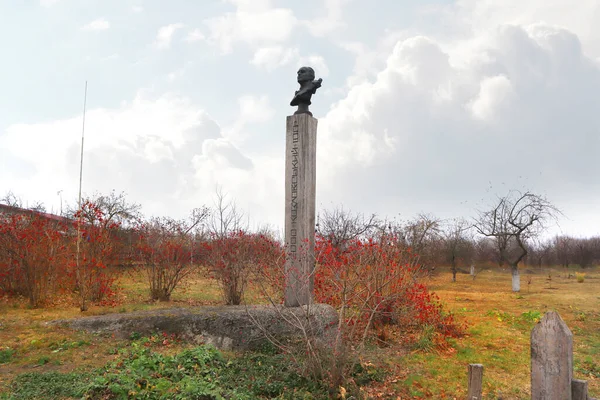 ブロンズバストからコズロフスキーへの添付 の記念館マナー コズロフスキー村 メリヤニフカ キエフ州 ウクライナ — ストック写真