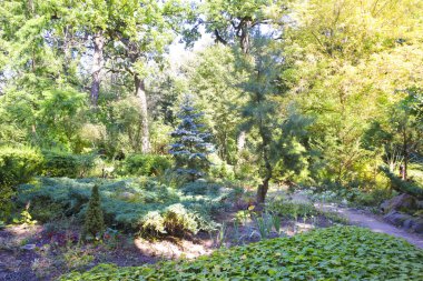 Ukrayna, Kyiv 'deki Syretsky botanik bahçesi