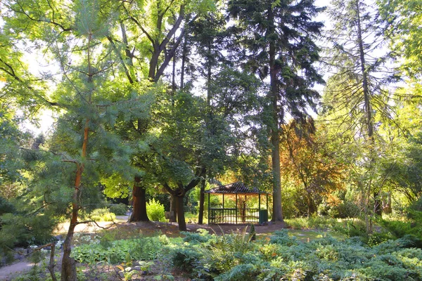 Arboretum Syretsky Kiev Ukraine — Photo