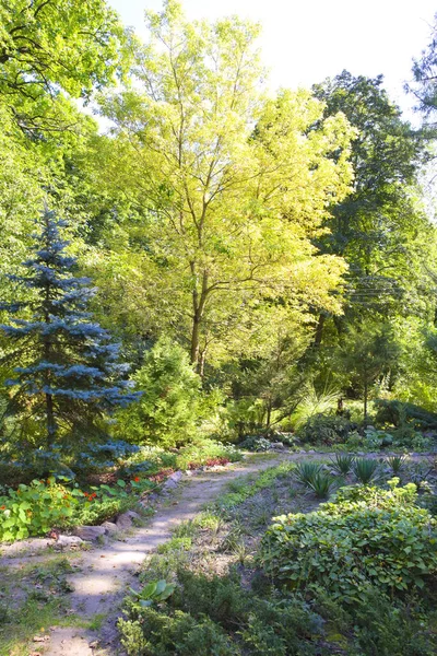 Syretsky Arboretum Kiev Oekraïne — Stockfoto