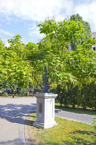 Monument Voor Anna Jaroslavna Het Plein Van Lviv Het Plein — Stockfoto