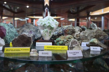 Ukrayna, Khoroshiv 'deki değerli ve dekoratif taşlar müzesinin parçaları.