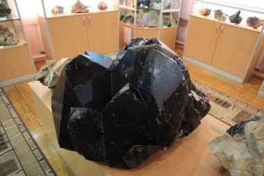 Büyük siyah druse moryonunun yakın görüntüsü