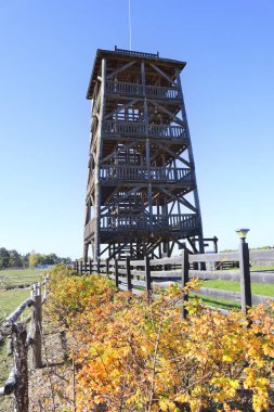 Sonbahar ormanlarındaki gözlem kulesi güneşli bir günde Ukrayna 'nın Chernihiv bölgesindeki Nature Park 