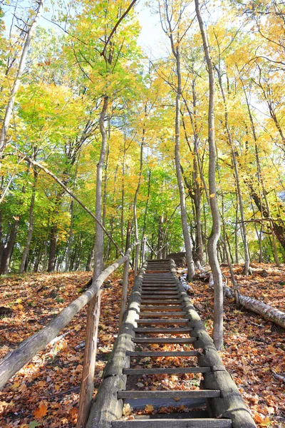 ウクライナのチェルニヒフ地方の自然公園 Beremitskoye で晴れた日の階段で秋の風景 — ストック写真
