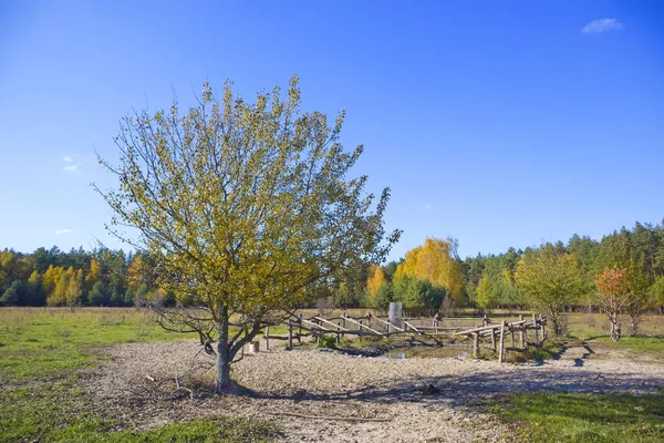 Animal watering place in Nature Park \