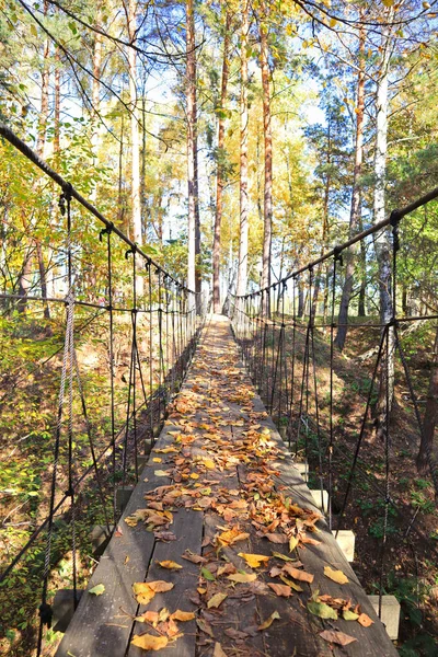 ウクライナ チェルニヒフ地方の自然公園 Beremitskoye で晴れた日に吊り橋と風景 — ストック写真