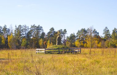 Ukrayna 'nın Chernihiv bölgesindeki Nature Park 