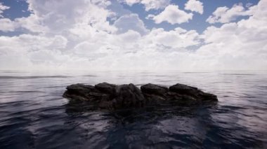 Falcon Ocean.2K Kararı 25601440p Hazırlanmış Animasyon Uçuşları