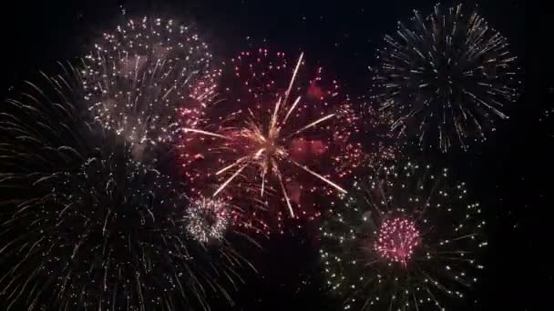 Fogos Artifício Celebrar Fundo Looped Pode Usar Como Pano Fundo — Vídeo de Stock