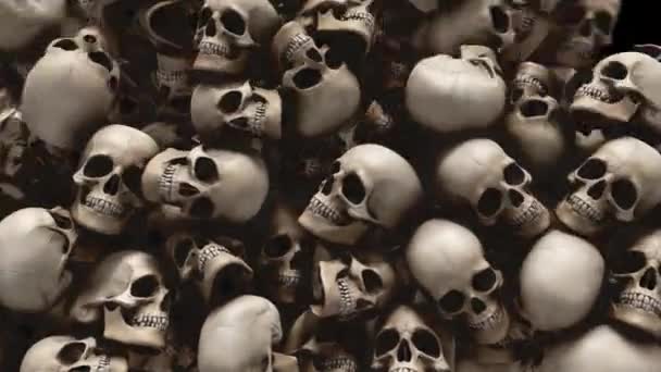 Transition Halloween Halloween Transition Est Crâne Qui Tombe Révèle Écran — Video