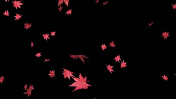 秋の紅葉の移行 秋の紅葉オーバーレイは ビデオや画像の翻訳のためのアルファで落ちる秋の葉です — ストック動画