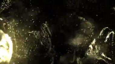 Zarif Parçacıklar FPS 60