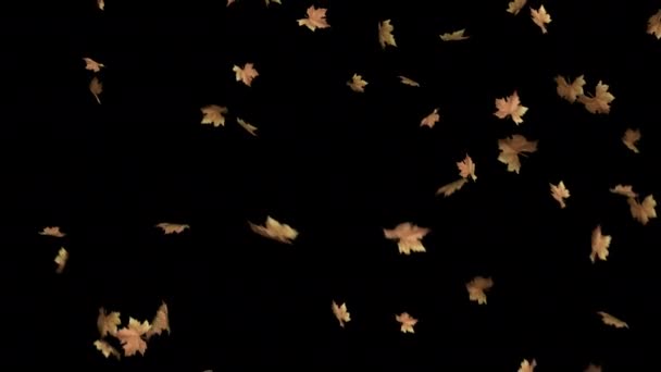 Autumn Leaves Falling Transition Autumn Leaves Falling Overlay Otoño Hojas — Vídeos de Stock
