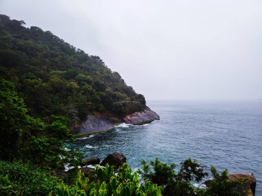 Sahildeki cennet ağaçları