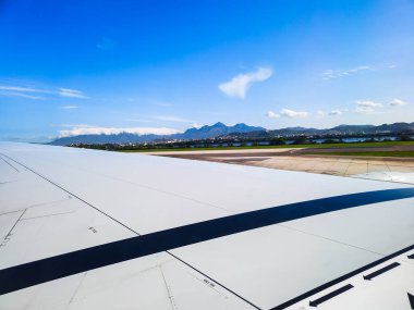 Sahildeki cennet ağaçları