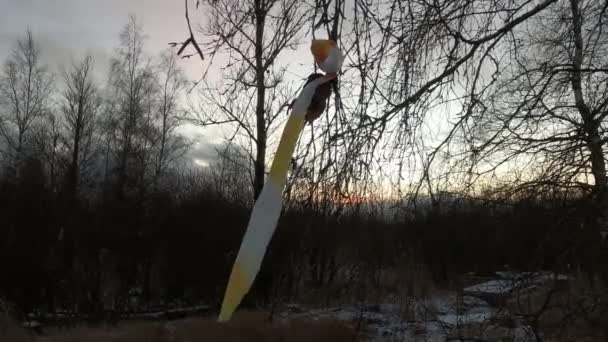 俄罗斯森林中强风卷曲的带子 — 图库视频影像