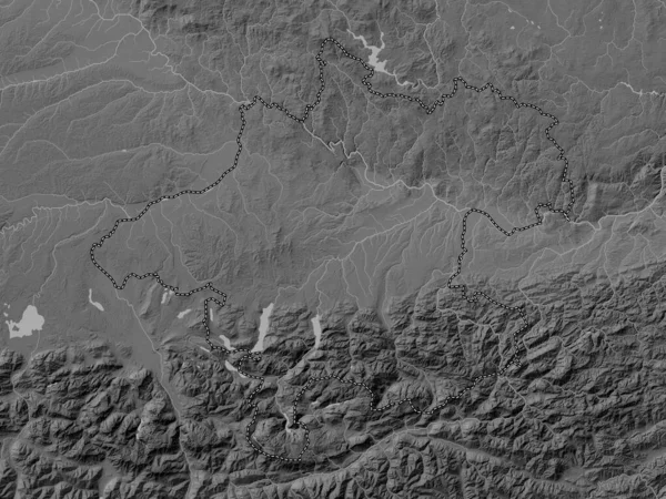奥伯罗斯特里奇 奥地利国 带有湖泊和河流的灰度高程图 — 图库照片