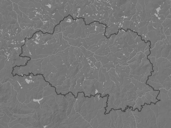 Vitsyebsk Regione Della Bielorussia Mappa Dell Elevazione Bilivello Con Laghi — Foto Stock