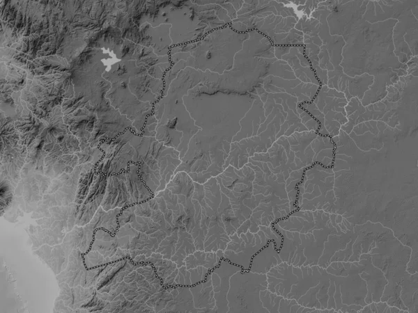 カメルーンの地域の中心部 湖や川とグレースケール標高マップ — ストック写真