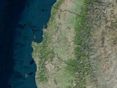 Biyoloji, Şili bölgesi. Yüksek çözünürlüklü uydu haritası