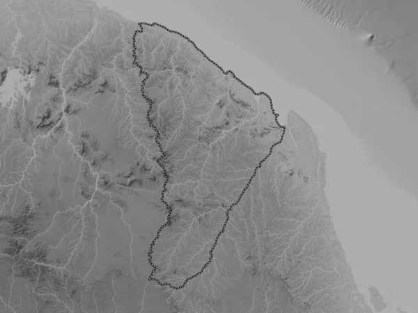 法属圭亚那自治区 带有湖泊和河流的灰度高程图 — 图库照片