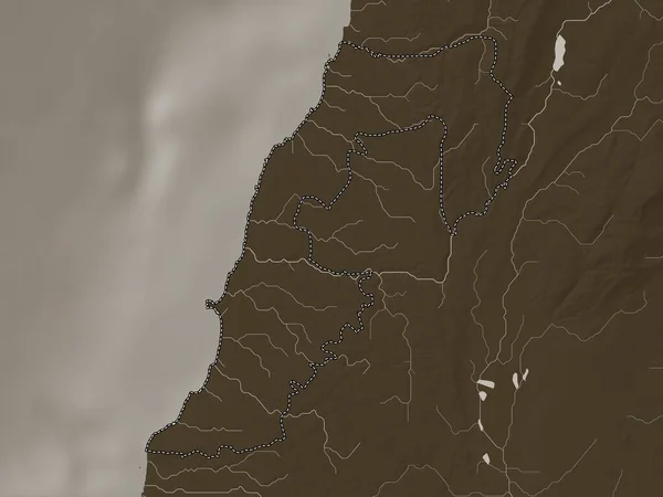Νότια Κυβερνήτης Του Λιβάνου Υψόμετρο Χάρτη Χρωματισμένο Τόνους Σέπια Λίμνες — Φωτογραφία Αρχείου