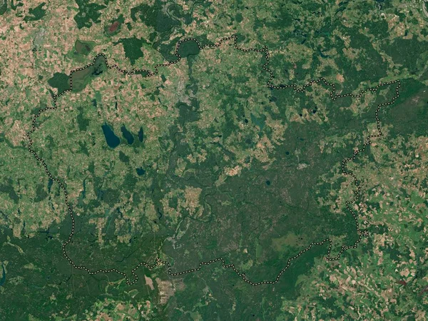 Alytaus Litauens Län Lågupplöst Satellitkarta — Stockfoto