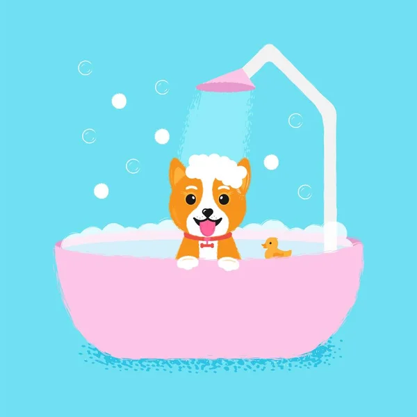 Dog Grooming Bath Great Design Any Purposes Beauty Concept Adorable — Stock Vector