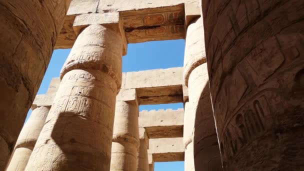 룩소르에 있는 가장 큰 야외 박물관인 이집트 카르 낙 신전 의유적 — 비디오