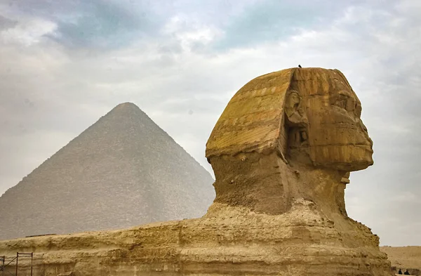 Ancient Sphinx Pyramids Symbol Egypt — Stock Photo, Image