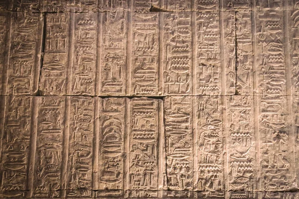 Bas Reliëfs Van Oude Tempel Van Horus Edfu Egypte — Stockfoto