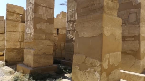 Ruinas del templo egipcio de Karnak, el museo al aire libre más grande de Luxor — Vídeos de Stock