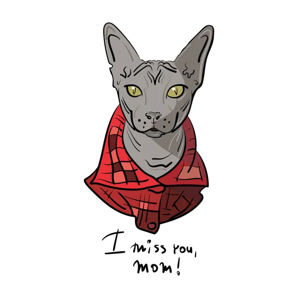 Gato de esfinge desenhado à mão com uma camisa vermelha. Tenho saudades da tua mãe. Ilustração vetorial. — Vetor de Stock