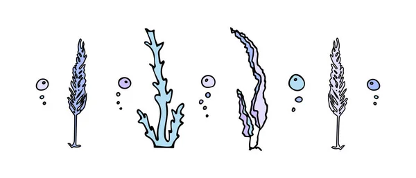 Set de algas estilo garabato con burbujas. Elementos de diseño. — Archivo Imágenes Vectoriales
