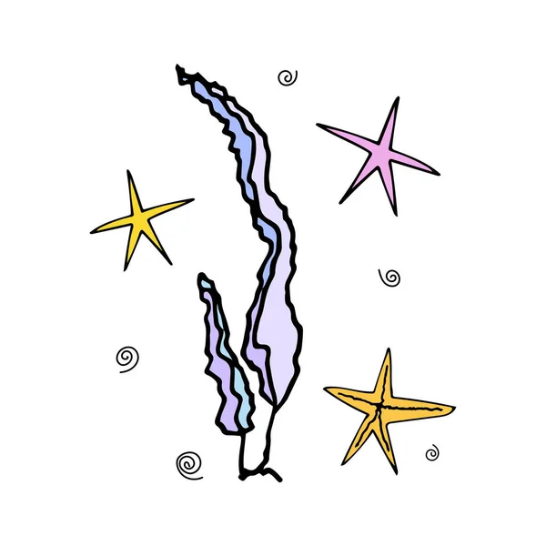 Algues colorées avec étoiles de mer et vagues dans le style doodle. Éléments de conception. — Image vectorielle