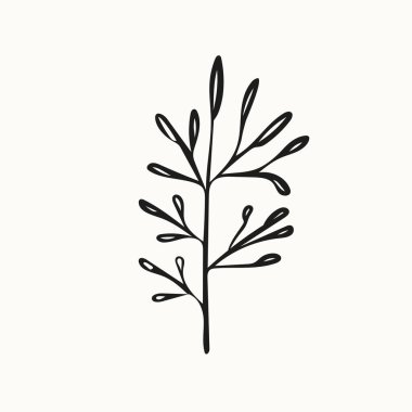 Organik doğa. Bej arka planda yaprakları olan bir dal.