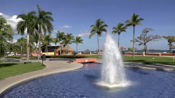 カリブ海の休日の住居 休日のホテルのヤシの木とスイミングプールのウォータージェット噴水 — ストック動画