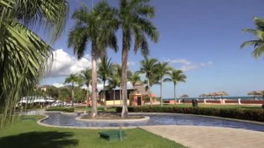 Hindistan cevizi ağacı, yüzme havuzu, deniz ve yeşil Karayip otlu saman şemsiyeleri. Turizm, otel.