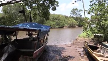 Tropiklerdeki bir nehrin kıyısındaki mangrov ormanında balıkçı teknesi. Nemli tropikal bölge