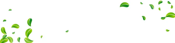 Grassy Πράσινοι Φρέσκο Διάνυσμα Πανοραμική Λευκό Φόντο Concept Πτώση Μοτίβο — Φωτογραφία Αρχείου