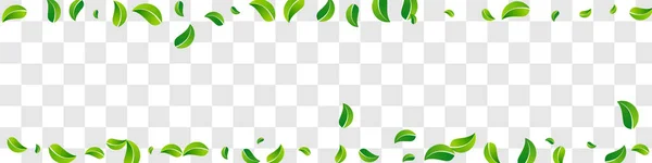Olive Greens Spring Vector Panoramic Transparent Hintergrund Hintergrund Blur Laubkonzept — Stockfoto