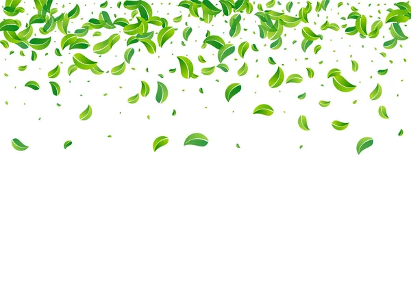 Grassy Greens Wind Vector White Hintergrundbanner Wirbelblätter Hintergrund Green Laubbewegungskonzept — Stockfoto